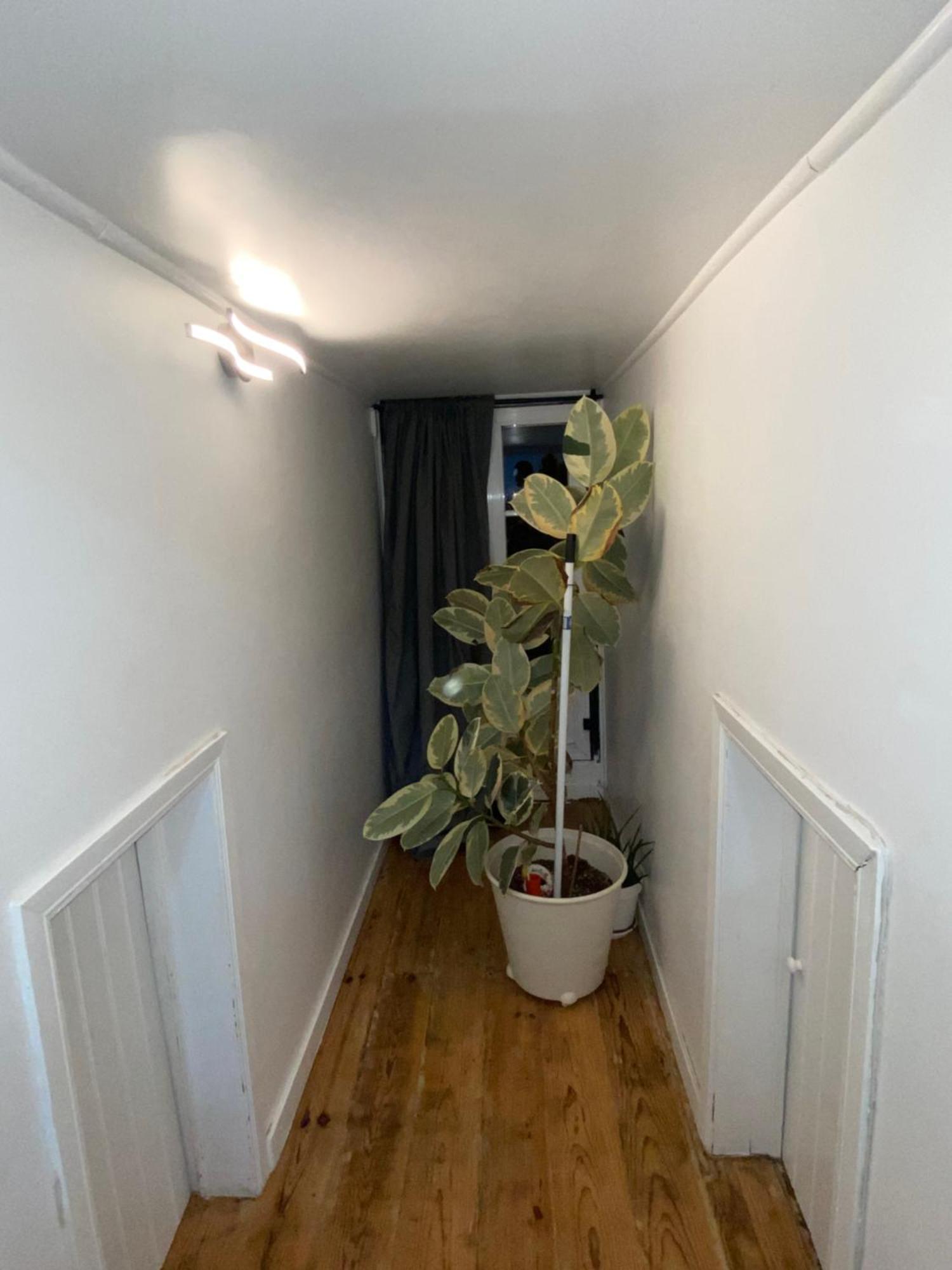 ホテル Gusmao House リスボン エクステリア 写真